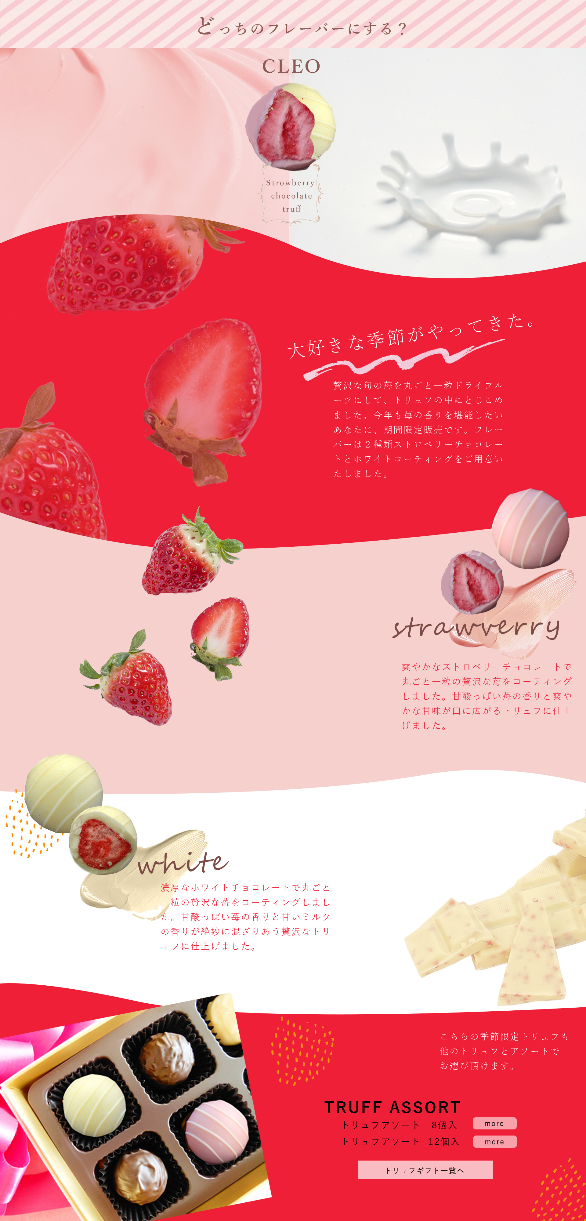 CLEO様　サイトデザイン